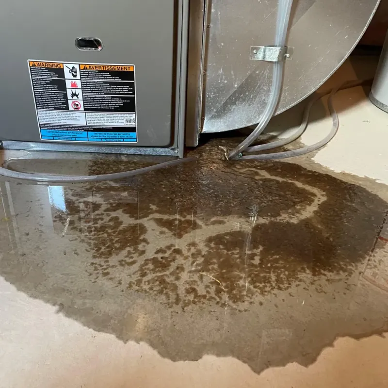 Appliance Leak Cleanup in Henderson, NV